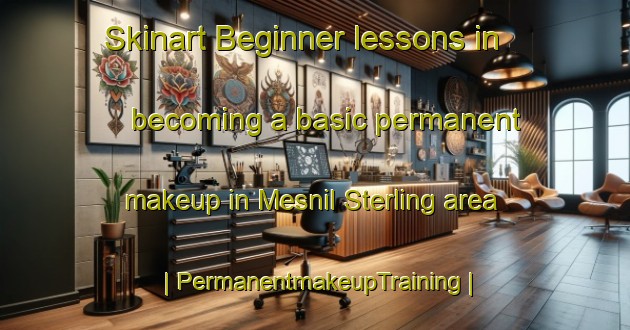 Skinart Beginner lessons in becoming a basic permanent makeup in Mesnil Sterling area | PermanentmakeupTraining | PermanentmakeupClasses | SkinartTraining-France